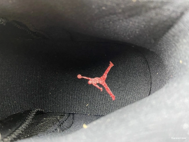 HYPE Jordan Game Flu (2016) 130690-002 Retro 12 0825
